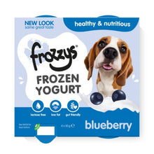 Frozzy's frozen yogurt packaging for dogs with a blueberry flavor on a white background