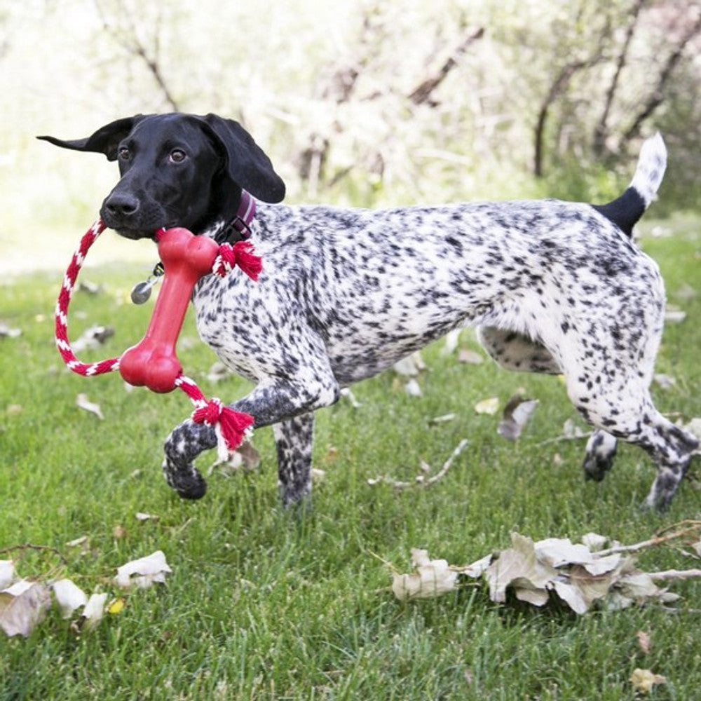 KONG Goodie Bone with Rope Medium