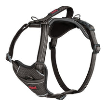 Black dog harness with brand logo on a white background