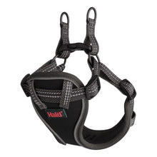 Black dog harness with patterned design on a white background