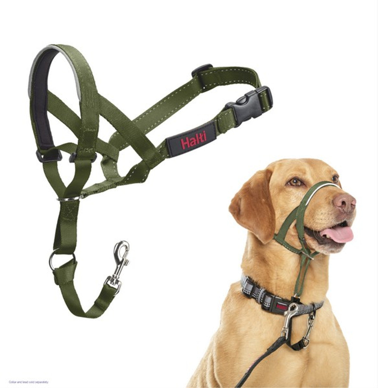 Green dog harness with Halti branding on a white background