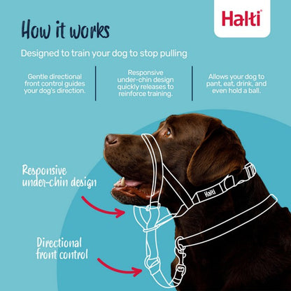 Halti dog head collar with text explaining how it works on a blue background