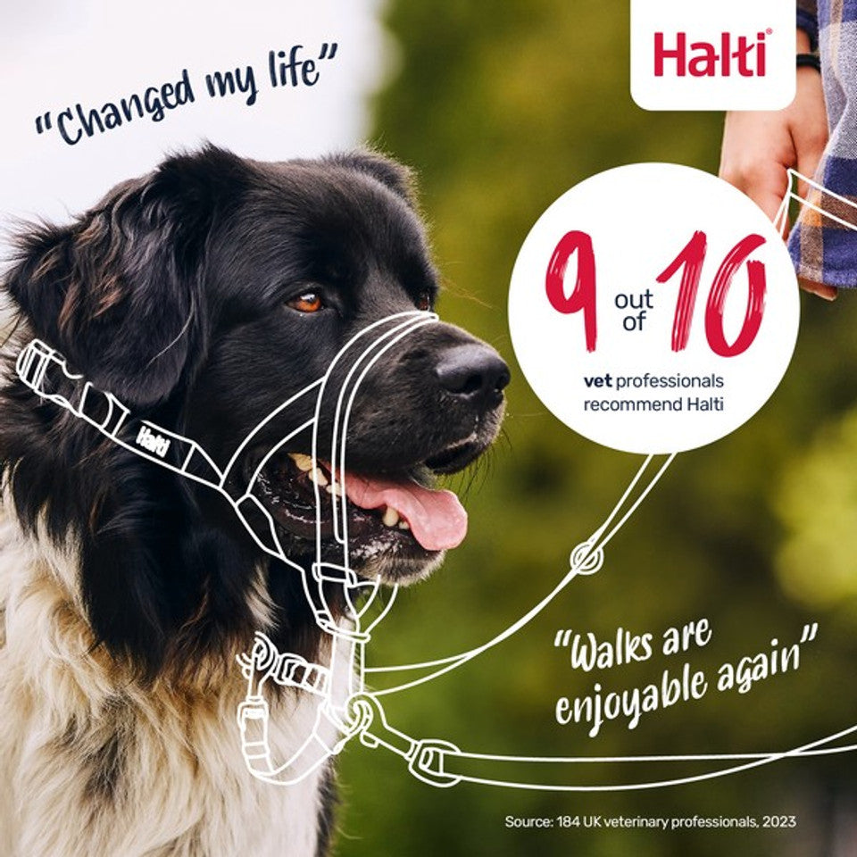 Dog wearing a Halti device with text about its benefits and popularity among veterinary professionals.