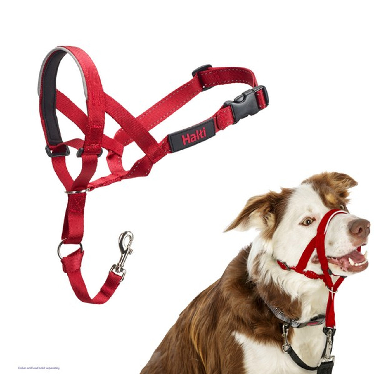 Red dog harness with Halti branding on a white background