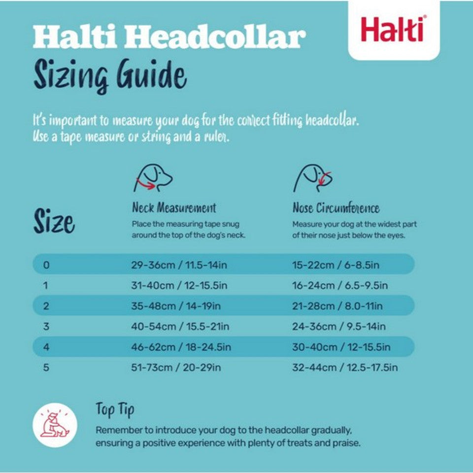 Halti Headcollar Sizing Guide with measurement instructions and size chart on a blue background.