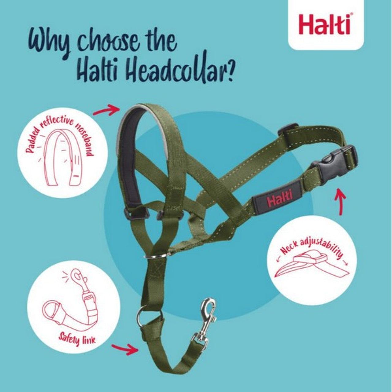 Halti headcollar with features highlighted on a blue background