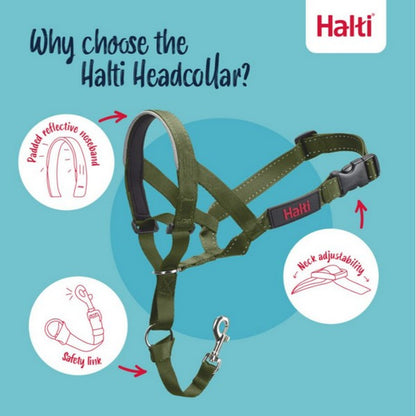 Halti headcollar with features highlighted on a blue background