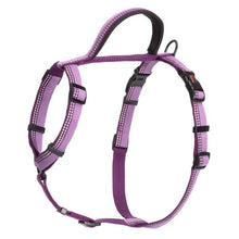 Purple dog harness on a white background