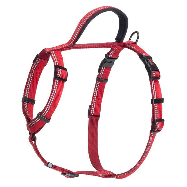 Red dog harness with black hardware on a white background