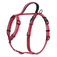 Red dog harness with black hardware on a white background