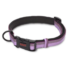 CoA Halti Comfort Collar Purple