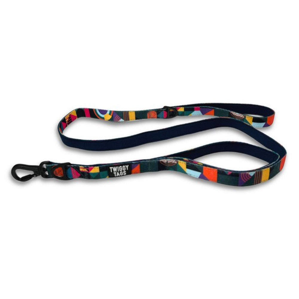 Twiggy Tags Adventure Lead with Close Control Handle Aurora 1.5m ...