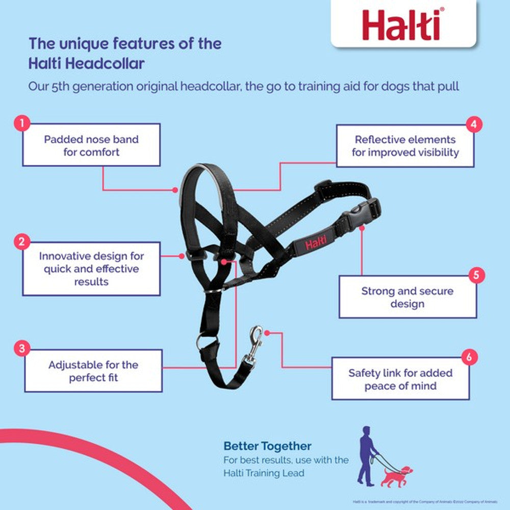 CoA Halti Headcollar