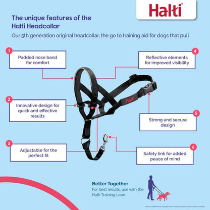 CoA Halti Headcollar