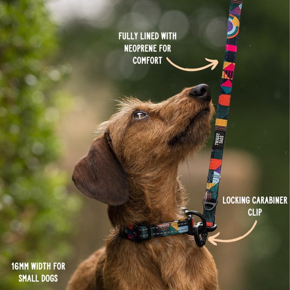 Twiggy Tags Adventure Lead Aurora Small 1.5m
