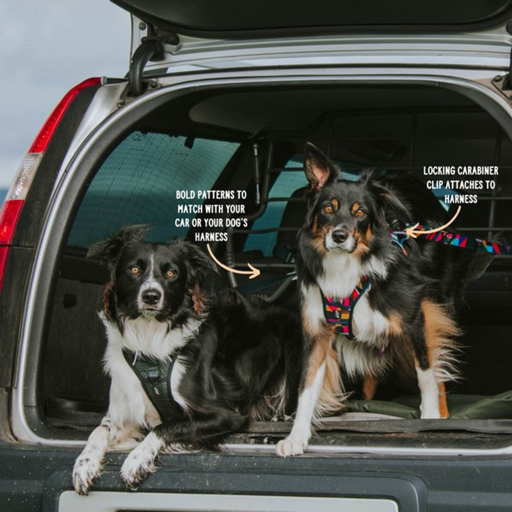 Twiggy Tags Adventure Seatbelt Petrichor