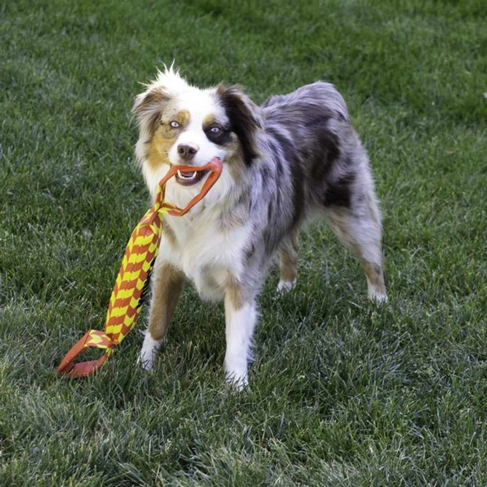 KONG Maxx Tug Large