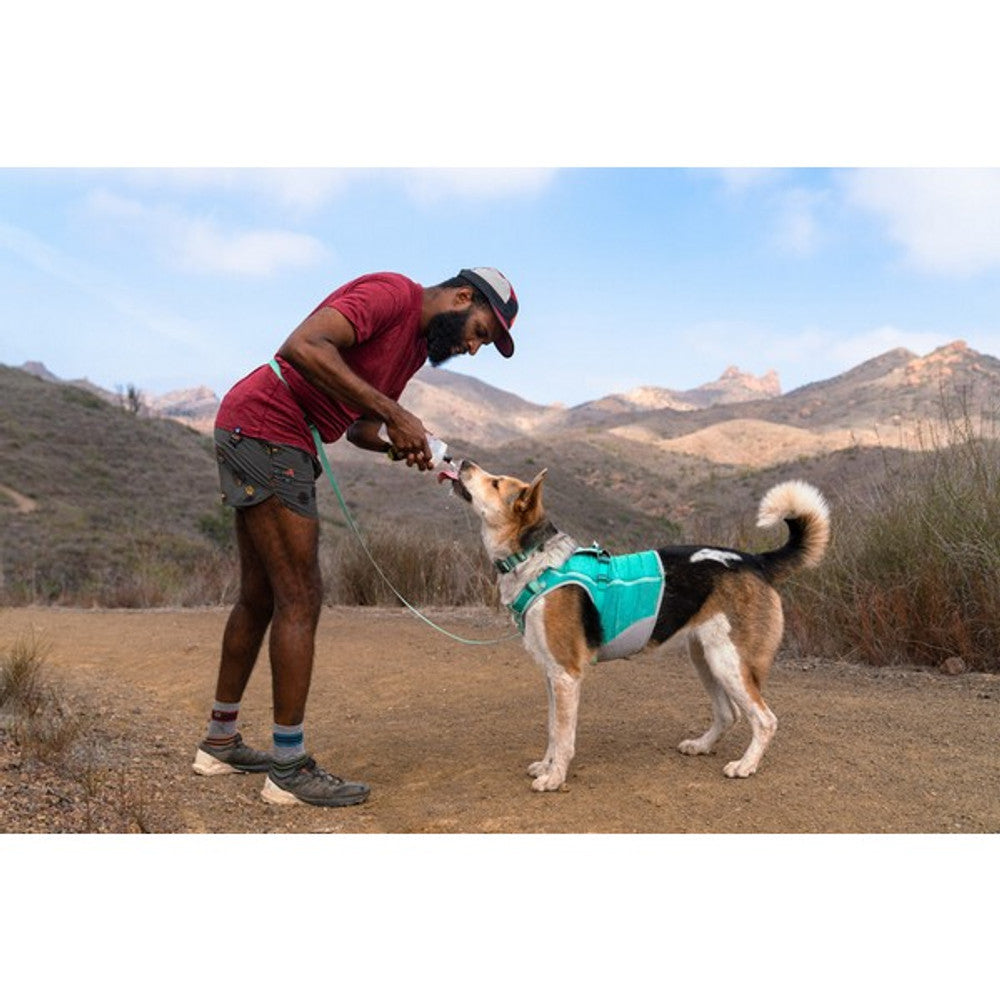 Ruffwear Hi&Light Harness Sage Green