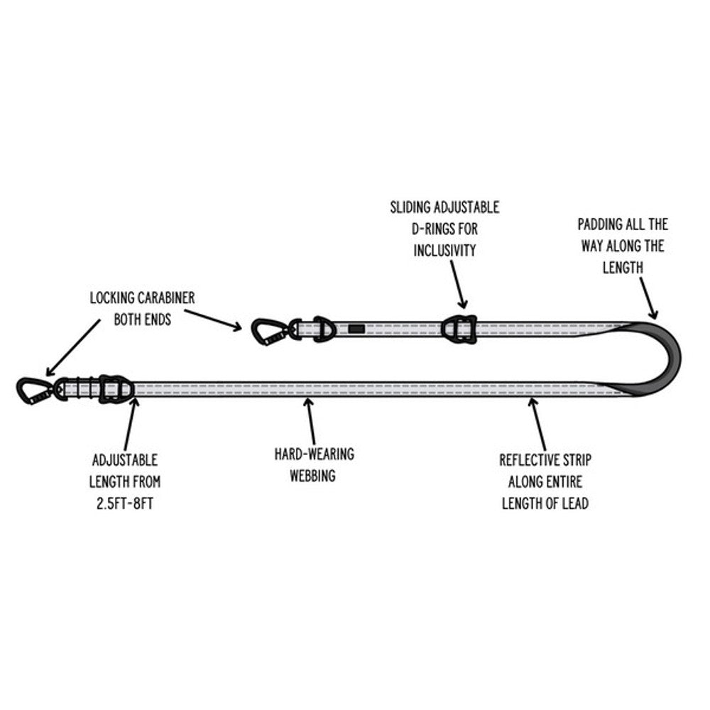 Twiggy Tags Trailfinder Multiway Lead Sierra