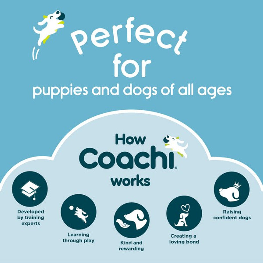 CoA Coachi Puppy Training Line Navy 2.5m