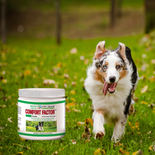 Dog running on grass with a container of Comfort Factor supplement in the foreground