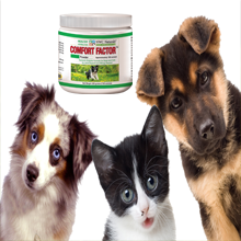 Pet supplement container with three pets (dog, cat, and another dog) on a white background