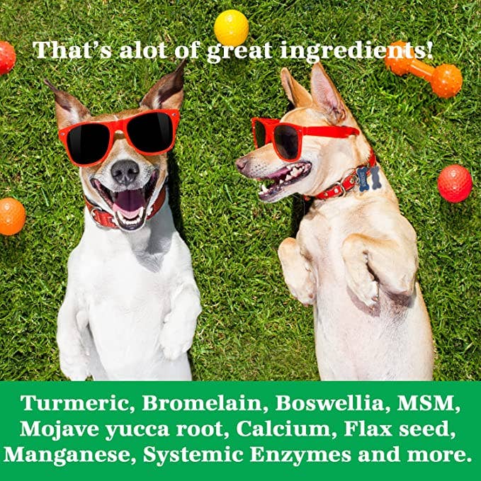 Two dogs wearing sunglasses on a grassy background with text about health ingredients.