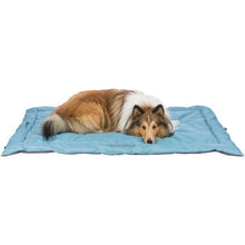 Travel Blanket Samoa Classic - Cool Mat Cover