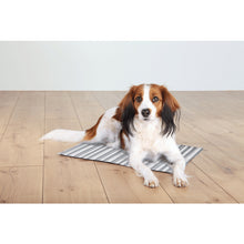 Trixie Grey & White Cooling Mat