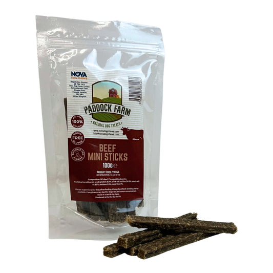 A 100g bag of Paddock Farm Beef Mini Sticks dog treats, shown with several treats lying in front of the clear stand-up pouch on a white background.