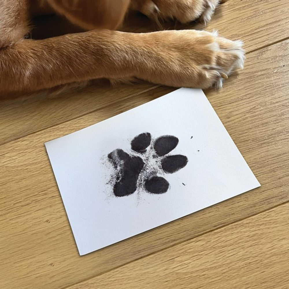 Oh So Precious Paw Print Non-Toxic Ink Pad Standard 12.5cm