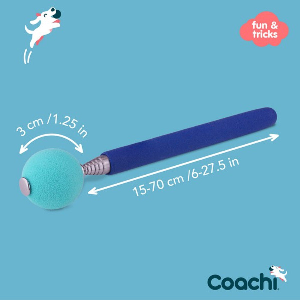 CoA Coachi Target Stick Navy & Light Blue