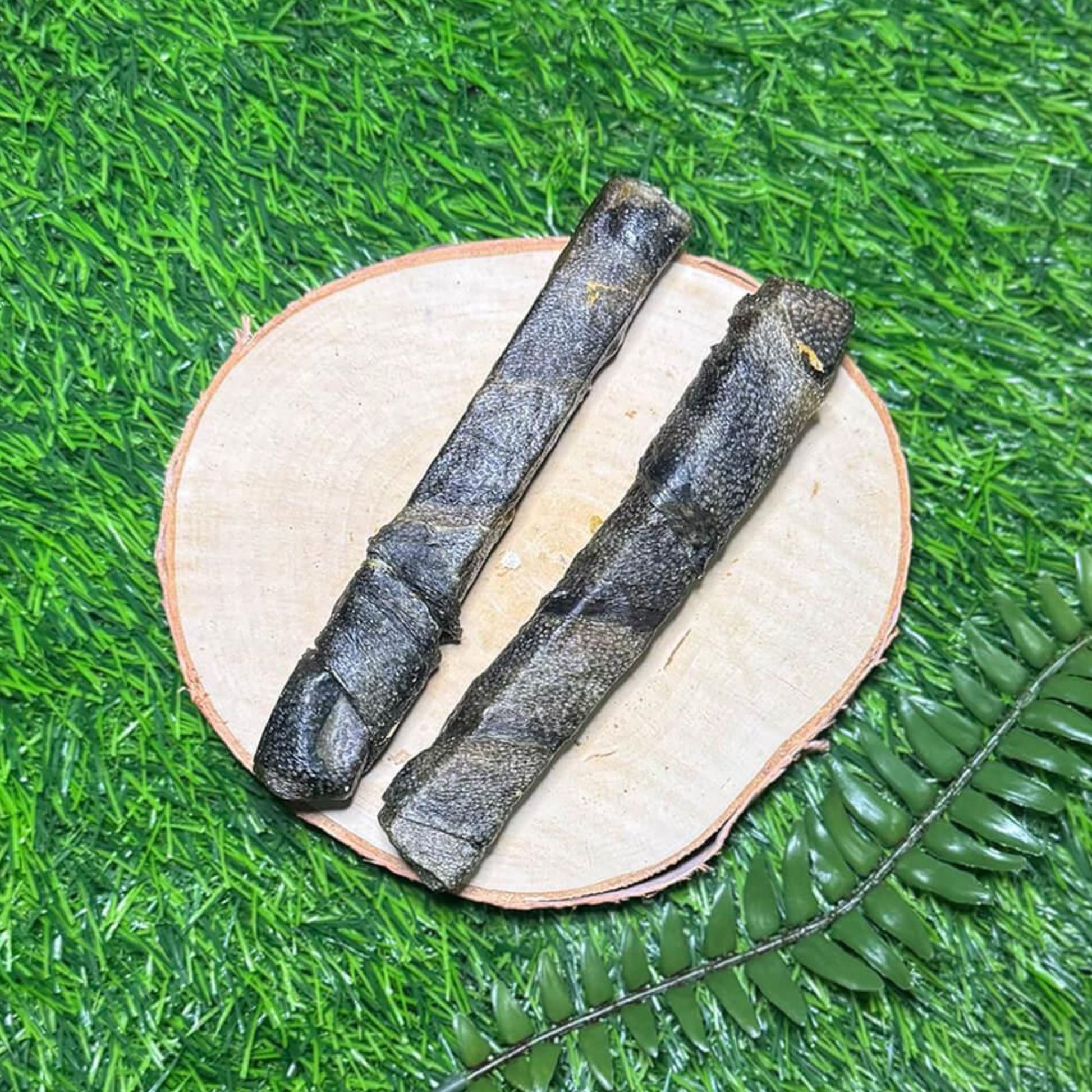 Two dark wolf fish sticks placed on a round light wood slice, set on bright green artificial grass with a fern leaf in the foreground.