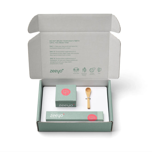 Zeeyo dental care kit with a spoon and instructions on a white background
