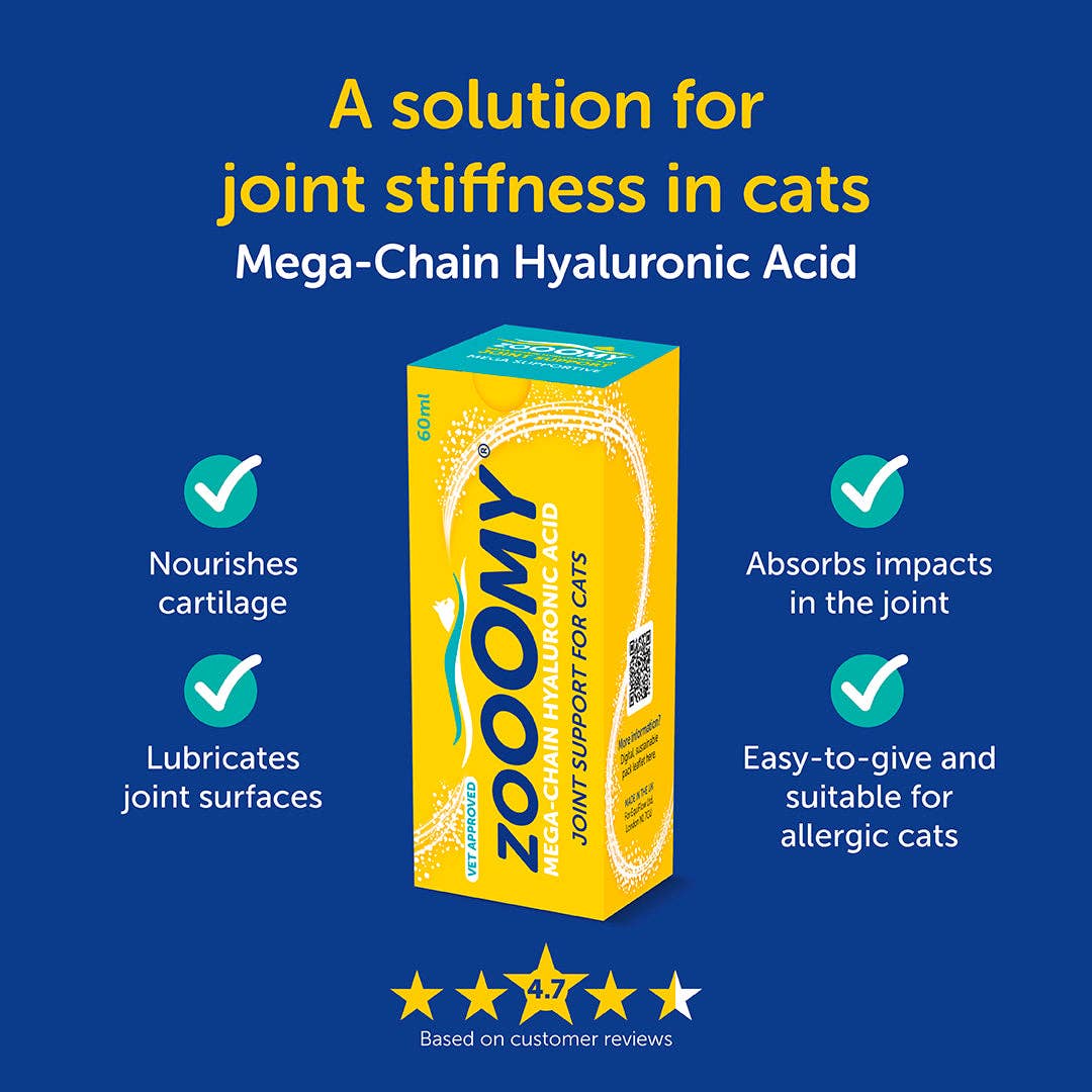 Box of Zoomy Mega-Chain Hyaluronic Acid for cats on a blue background with text about its benefits.