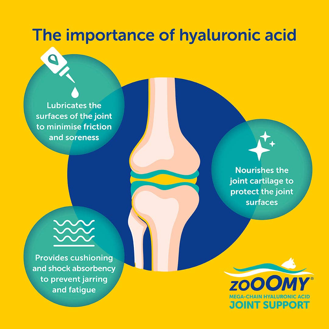 Diagram of a knee joint with text explaining the importance of hyaluronic acid and Zoomy brand logo.