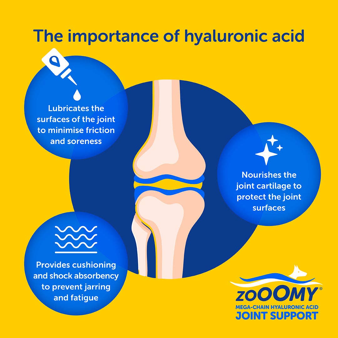 Diagram of a knee joint with text explaining the importance of hyaluronic acid and Zoomy brand logo.