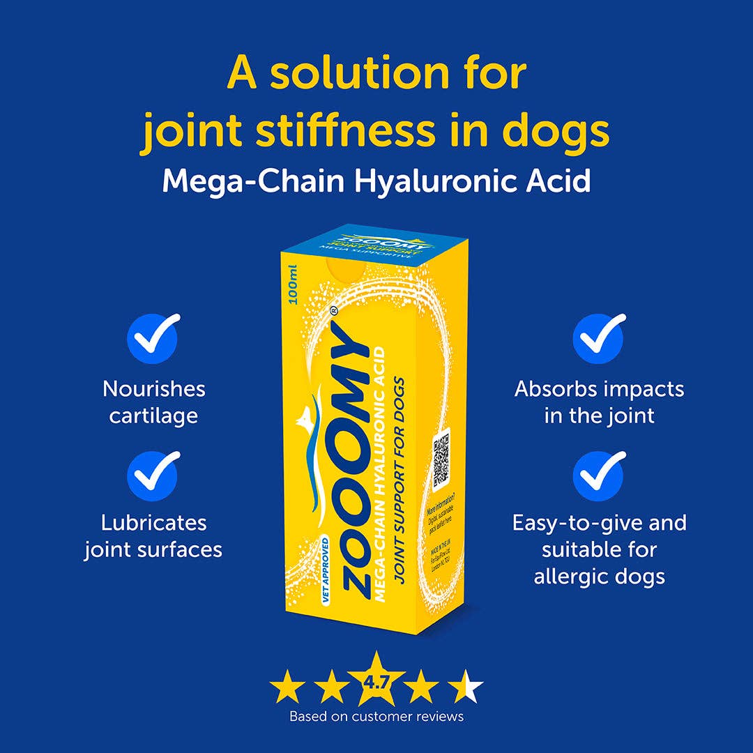 Box of Zoomy Mega-Chain Hyaluronic Acid for dogs on a blue background with text about its benefits.