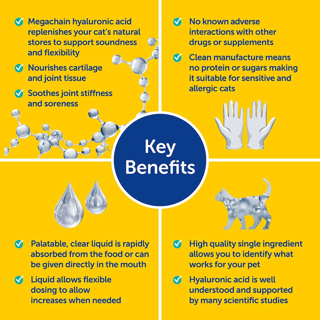 Key benefits of a cat supplement on a yellow background with text and icons.