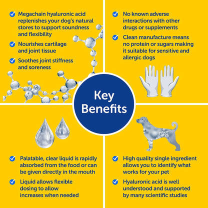 Key benefits of a dog supplement product on a yellow background