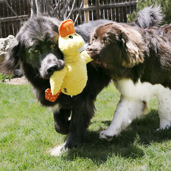 KONG Comfort Jumbo Duck Extra Large