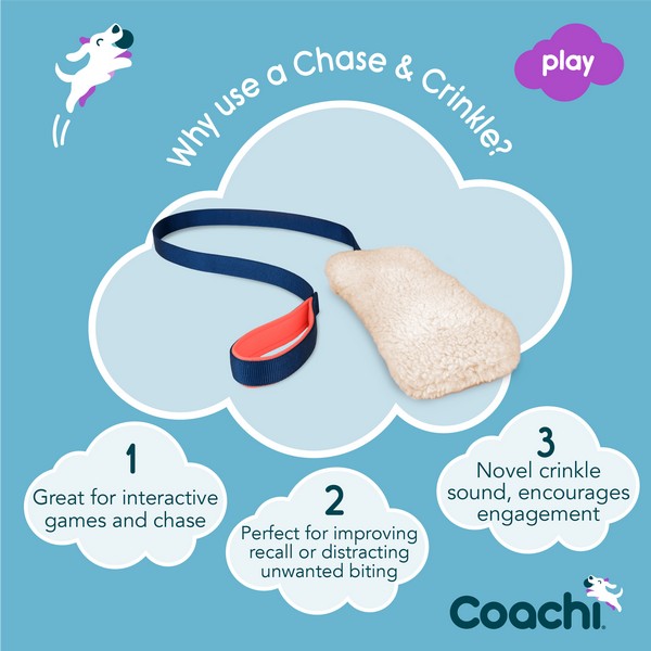 CoA Coachi Chase & Crinkle Navy, Coral & Faux Lambswool