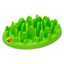 CoA Green Interactive Feeder