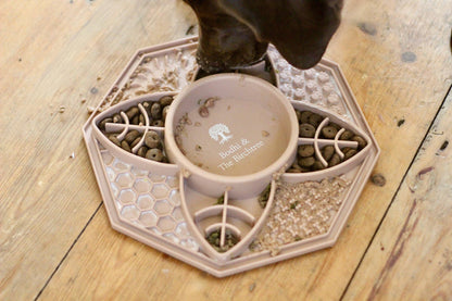 Bodhi & The Birchtree Mandala Slow Feeder In Dusky Pink