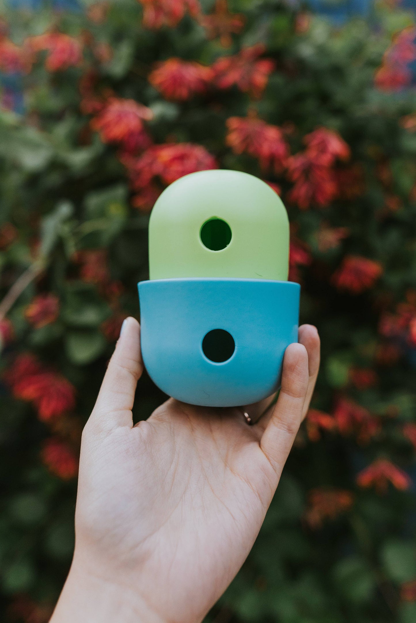 Food Dispenser & Slow Feeder Blue & Green