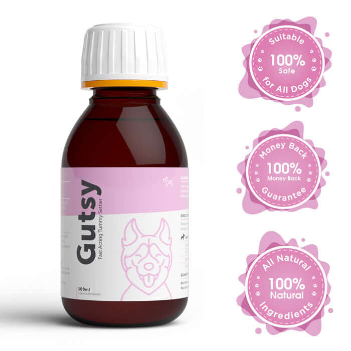 Dog's Lounge GUTSY – Fast-acting Tummy Suspension for Dogs & Puppies