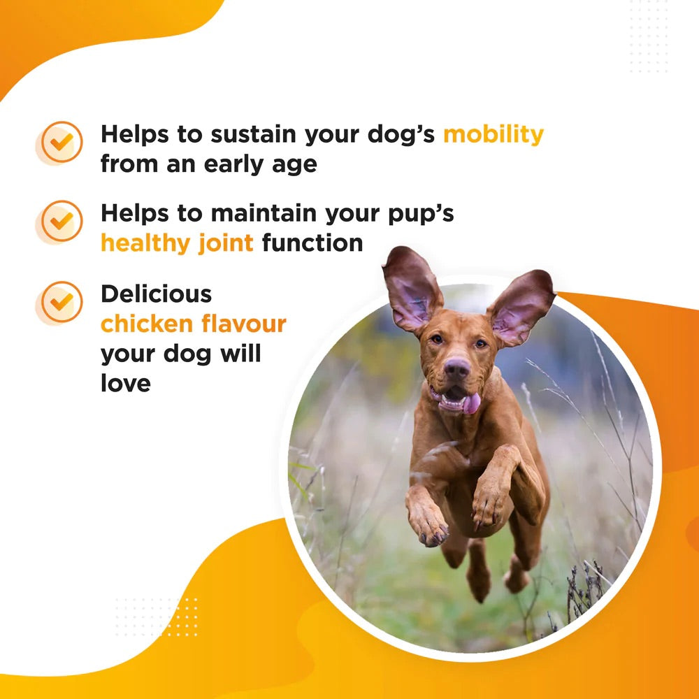 Dog's Lounge MOBI Tablet – Hip and Joint Mobility Supplement for Dogs