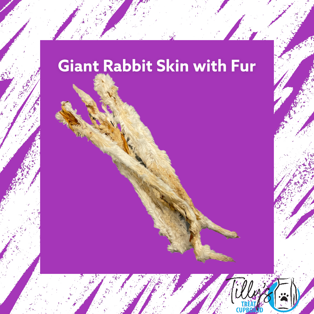 Giant Rabbit Skin with Hair (approx 60cm)