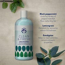 Dorwest Clean and Fresh Shampoo 500ml