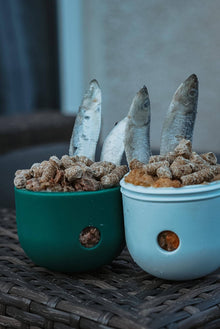 Food Dispenser & Slow Feeder Ice & Spruce Green